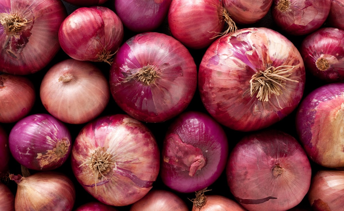 Centre To Begin Procurement Of 5 Lakh Tons Of Rabi Onion To Protect Farmers